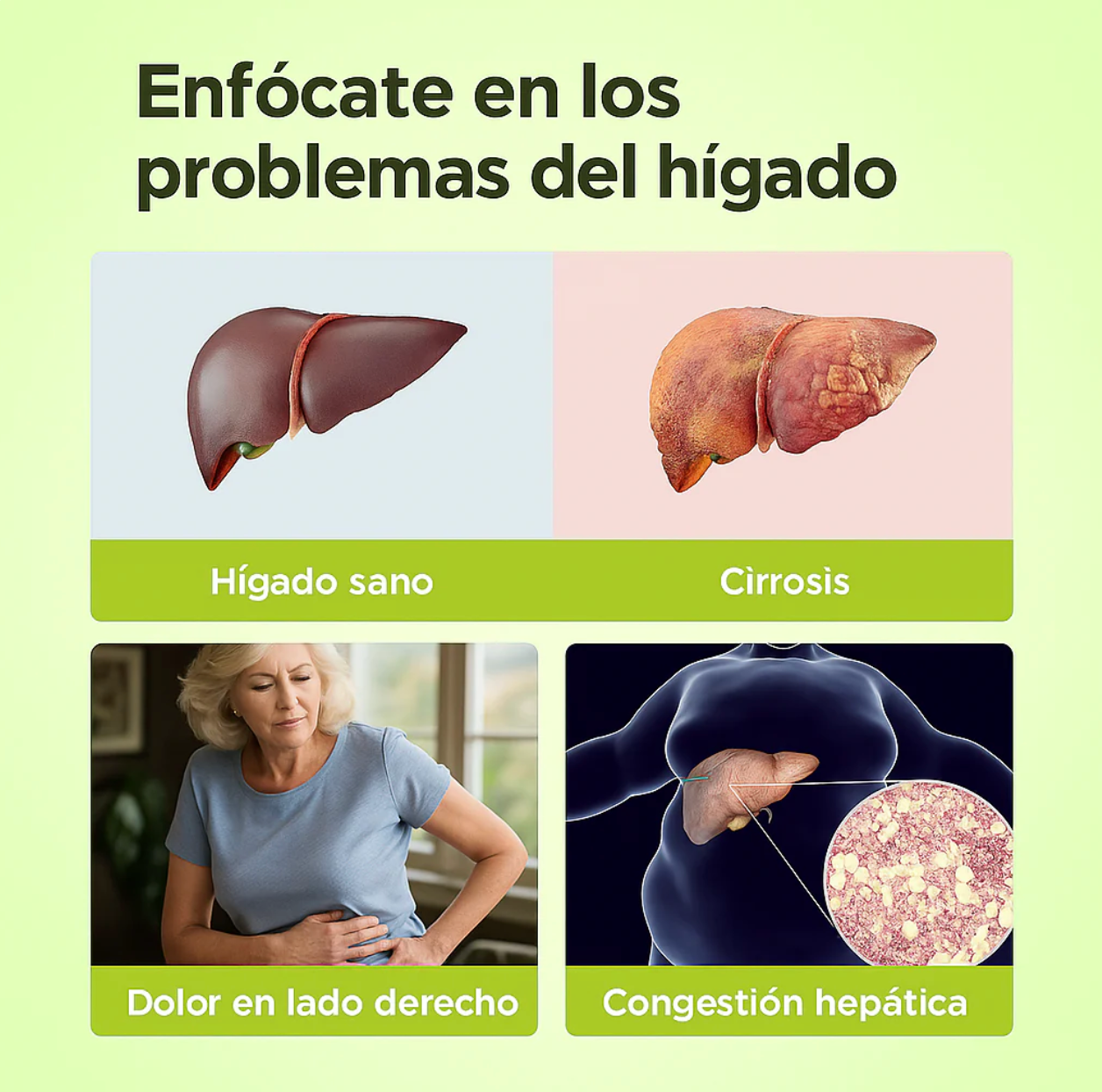 Limpiador Hígado y Vesícula, Boldo & Milk Thistle Extract